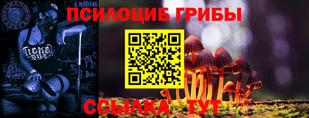 Орск  Псилоцибиновые грибы прущие грибы  купить   Псилоцибиновые грибы мухоморы  Вход с VPN 
