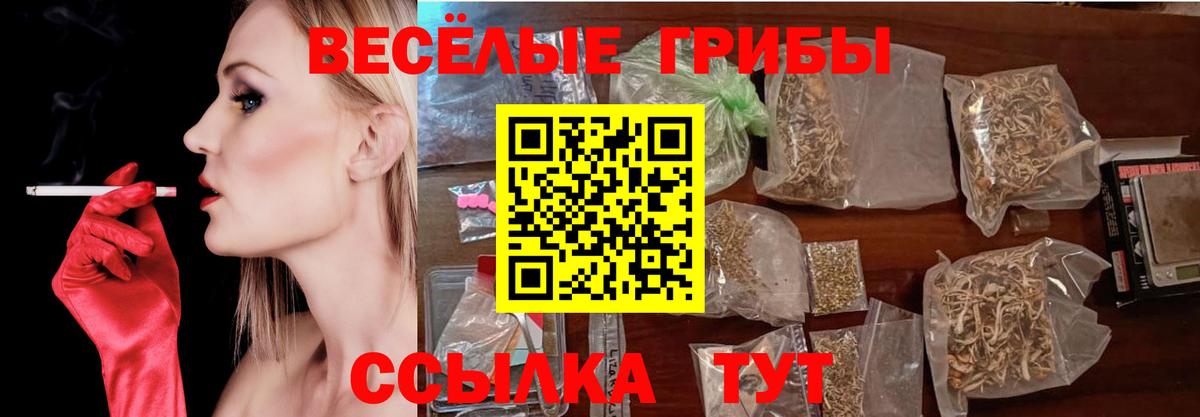 Галлюциногенные грибы Psilocybe Орск